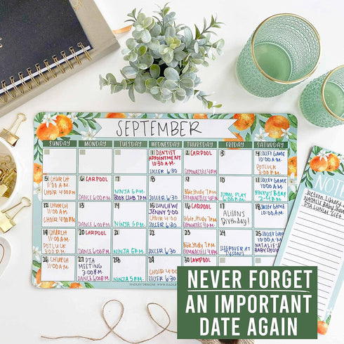 Magnetic Dry Erase Calendar for Fridge, Clementine Magnetic Calendar for Refrigerator, White Board