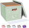 Oterri File Organizer Box with Lid - Portable Hanging File Box for Letter/Legal Storage, Green (1 Pack)