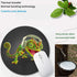 Cute Personalized Mouse Pads, Funny Animal Chameleon Round Non-Slip Rubber Mouse Pad for Computers Laptop