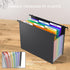 Plastic Expanding Hanging File Folders, 1/3-Cut Tab, 7 Pockets, Multi-Color Tabs, Large Capacity, Letter Size (6 PCS)
