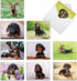 The Best Card Company - 10 Adorable Blank Dog Cards, Assorted Pet Breeds, Boxed Set