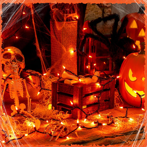 Lights(23 Feet,100 Count)-Incandescent woohaha Outdoor Halloween Orange Christmas Lights with Black Wire,Mini Orange