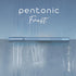 Pentonic Ballpoint Pens, 10 Count, Frosted Pale Blue Barrel, 0.7 mm Fine Point for Journaling & Note Taking