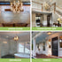 E12 Bulbs 60 B10 Dimmable Bulbs, 5W Bulb, 2700K 450LM Bulbs Fan,6 Pack Sigalux LED Watt, Chandelier Light Clear LED
