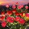 GIGALUMI Solar Lights Outdoor for Garden Decor, 3 Pack Solar Flower Lights