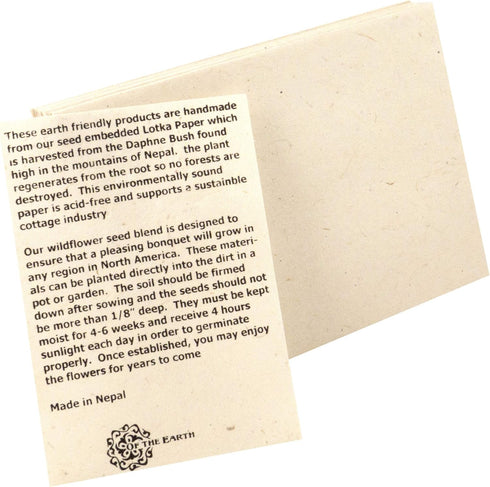 Handmade Seeded Plantable Paper Envelopes, 10 Count A6, 4.75 x 6.5 Inches