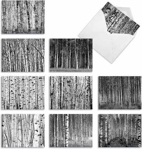 The Best Card Company - 10 Blank Note Cards with Envelopes (4 x 5.12 Inch) - Bulk Boxed Set of Black & White Photos