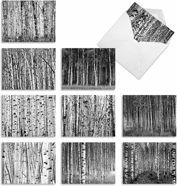 The Best Card Company - 10 Blank Note Cards with Envelopes (4 x 5.12 Inch) - Bulk Boxed Set of Black & White Photos
