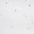 Rite in the Rain Weatherproof Copier Paper, 8.5" x 11", 20# White, 200 Sheet Pack (No. 8511X)