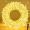 210 LEDs Warm White LED String Lights 70FT Transparent Wire, Waterproof &