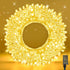 100FT Warm White String Lights 300 LED Extra Long Waterproof Fairy Lights