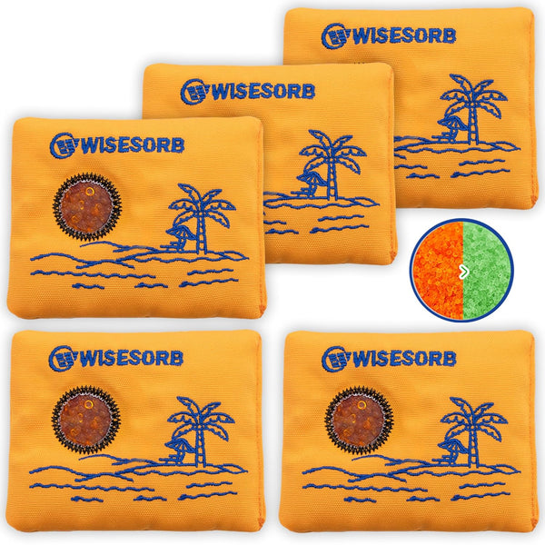 100gx5pcs Rechargeable Desiccant Packs for Storage, Color Indicating Silica Gel Packets, Reusable Dehumidifier Bags