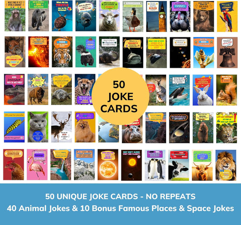 50 (4x6), Imperial Designs Animal Jokes & Fun Facts Cards, No Repeats Bulk Funny Greeting Cards With Envelopes