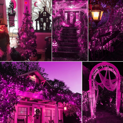MYGOTO Purple Christmas Lights Outdoor, 2 Pack 13 Feet 50 Count Halloween String Lights for Garden Party Christmas Decor
