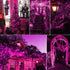 MYGOTO Purple Christmas Lights Outdoor, 2 Pack 13 Feet 50 Count Halloween String Lights for Garden Party Christmas Decor