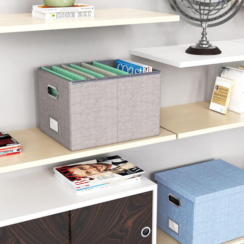 Oterri File Organizer Box, Filing Box with Lid, Portable Hanging File Box for Letter/Legal Storage, Gray