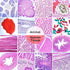 PALOBIL 60 Microscope Slides with Specimens,Prepared Microscope Slides for Kids,Glass Slides for Microscope,Prepared