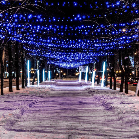 Solar String Lights for Outside, 39Ft 100 LED Solar String Lights Outdoor with 8 Modes Solar Lights for Outside Waterproof for Yard, Fence,Balcony, Party,Christmas Tree Decorations (Blue) by Flechllary