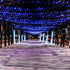 Solar String Lights for Outside, 39Ft 100 LED Solar String Lights Outdoor with 8 Modes Solar Lights for Outside Waterproof for Yard, Fence,Balcony, Party,Christmas Tree Decorations (Blue) by Flechllary