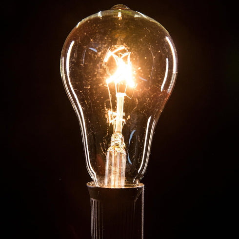 (PS50 10 Hometown Evolution, Inc. Vintage Edison Outdoor String Lights Clear - Black Wire, ft)