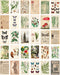 Vintage Collection Postcard Set: 30 Pack of Retro Style Botanical, Nature and Ephemera Postcards