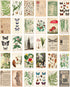 Vintage Collection Postcard Set: 30 Pack of Retro Style Botanical, Nature and Ephemera Postcards