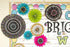 Teacher Created Resources Chalkboard Brights Circles Die-Cut Border Trim, 3498