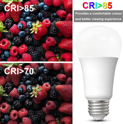 LED Light Bulbs Daylight 15W, 1600Lm 100W Equivalent, E26 Edison Screw Base, Super Bright 5000K (2 Pack)