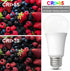 LED Light Bulbs Daylight 15W, 1600Lm 100W Equivalent, E26 Edison Screw Base, Super Bright 5000K (2 Pack)