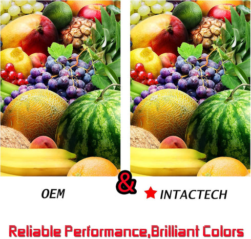 Intactech 2 Black Compatible Ink Cartridges Replacement for Brother LC3037, High Yield Ink Tank