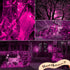 MYGOTO Purple Christmas Lights Outdoor, 2 Pack 13 Feet 50 Count Halloween String Lights for Garden Party Christmas Decor