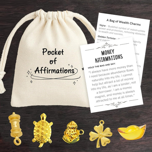 SHYVORA Good Luck Money Affirmation Card Gift, FengShui Gift of Wealth, Success, Positivity & Abundance for Friends