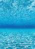 Under The Sea Better Than Paper Bulletin Board Roll by Teacher Created Resources