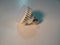 Wholesale Cabinet Components LED-PK100DD-C Led Bulb
