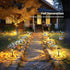 8 Pack(Warm SOLPEX Solar Lights for Outside, Solar Outdoor Pathway Garden Lights Waterproof, Solar Powered Landscape