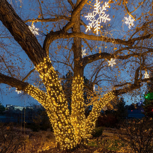 70 24 Commercial 21 Sets Warm White Wide Angle LED Mini Lights on Brown Wire Ft Grade Christmas String Lights, Full