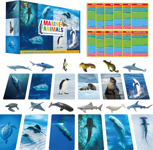 12 PCS Plastic Marine Animal Figurines with 12 Introduction Flashcards, Ocean Animals