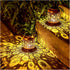 Sunflower Solar Lanterns Outdoor Waterproof Hanging Solar Lights Sunflower Gifts for Women/Men/Sunflower Lovers Gifts