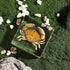 (3 3 1 inch) Taxidermy Crab, Real Crab Specimens Animal Specimen in Resin for Science Classroom Science Education