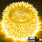 JMEXSUSS Connectable Warm White Christmas Lights Indoor Outdoor, 91.5ft 250 LED Christmas