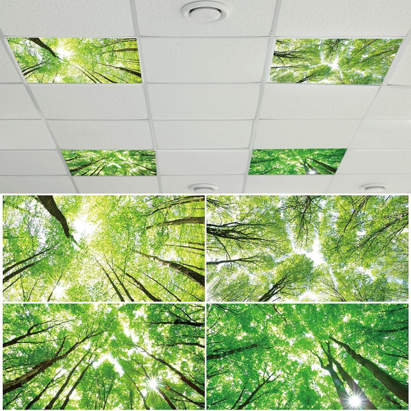 4 Pcs Fluorescent Light Covers with 40 Magnets Decorative for Classroom Ceiling