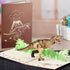 T Rex Dinosaur Birthday Card by Devine Popup Cards - 3D Pop Up Birthday Cards for Kids, Dad, Husband, Funny Greeting
