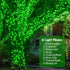 weillsnow 164Ft 500 8 LED Green St. Patrick's Day Lights, Waterproof Twinkle with Memory Functions Green String Lights