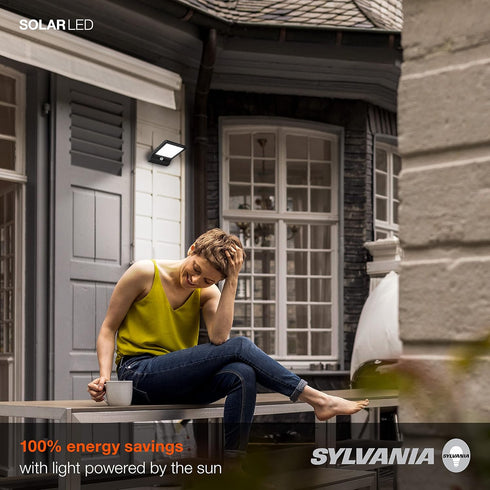 SYLVANIA Solar Flood Light Luminaire with Daylight Sensor, LED and Battery Included, 5000K, Black Finish - 1 Pack