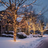 66 200 TW SHINE Color Changing Christmas Lights, FT LED Warm White and RGB Halloween Lights with Remote Waterproof