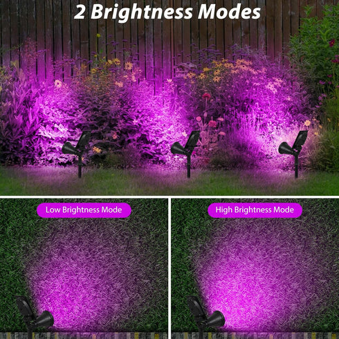 4 180 Area(Purple-1Pack) T-SUN Solar Spotlights, LED Solar Waterproof Outdoor Landscape Lights, Auto-on/Auto-Off by
