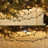 Watereem 2 Pack 100 Count Clear Christmas String Lights, Each, Incandescent Mini Christmas Lights, Connectable Xmas