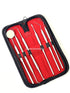 GERMAN Dental Hygiene Kit, 6 Piece Dentist Tools for Teeth Cleaning and Gum Health