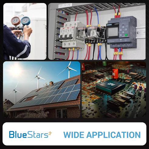 BlueStars SSR-25AA Solid State Relay, AC to AC Input 80-250VAC, Output 24-380VAC, 25A, Pack of 2