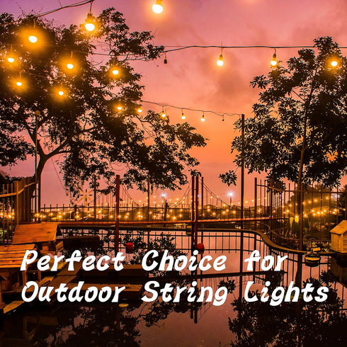 40 2.2 Inches, ADIIL PCS Q Hanger Hooks with Safety Buckle, Windproof Screw Hooks for Hanging Outdoor String Lights